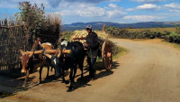 /album/fotogaleria-madagaskar-zajazd-vy-a-my1/madagaskar-zajazd-124-jpg2/